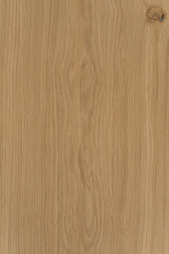 Raw Oak