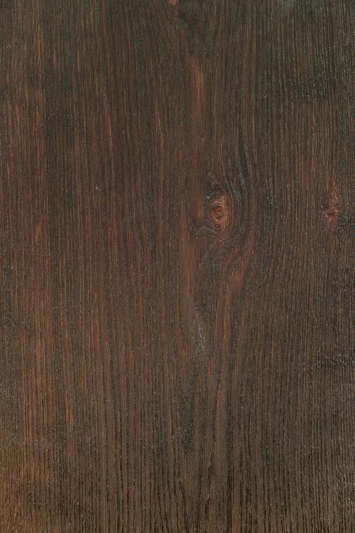 Brown Noblesse